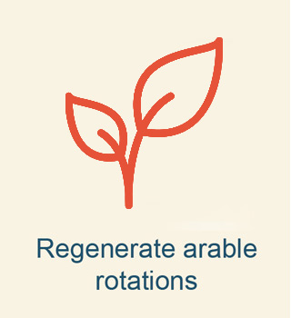 Regenerate arable rotations